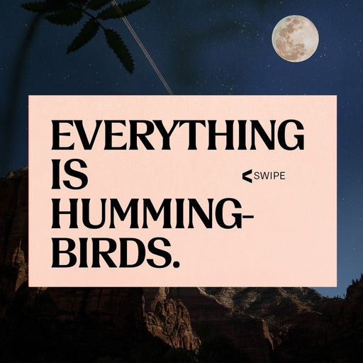 Everything is hummingbirds.